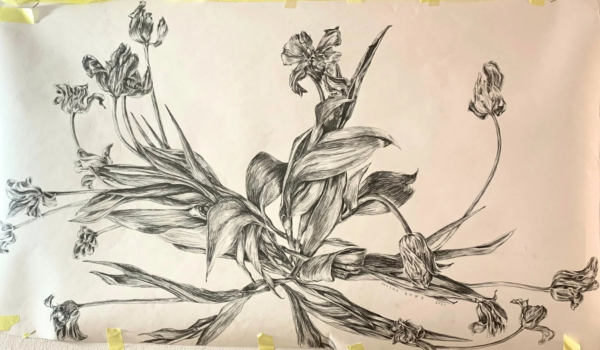 Tulips