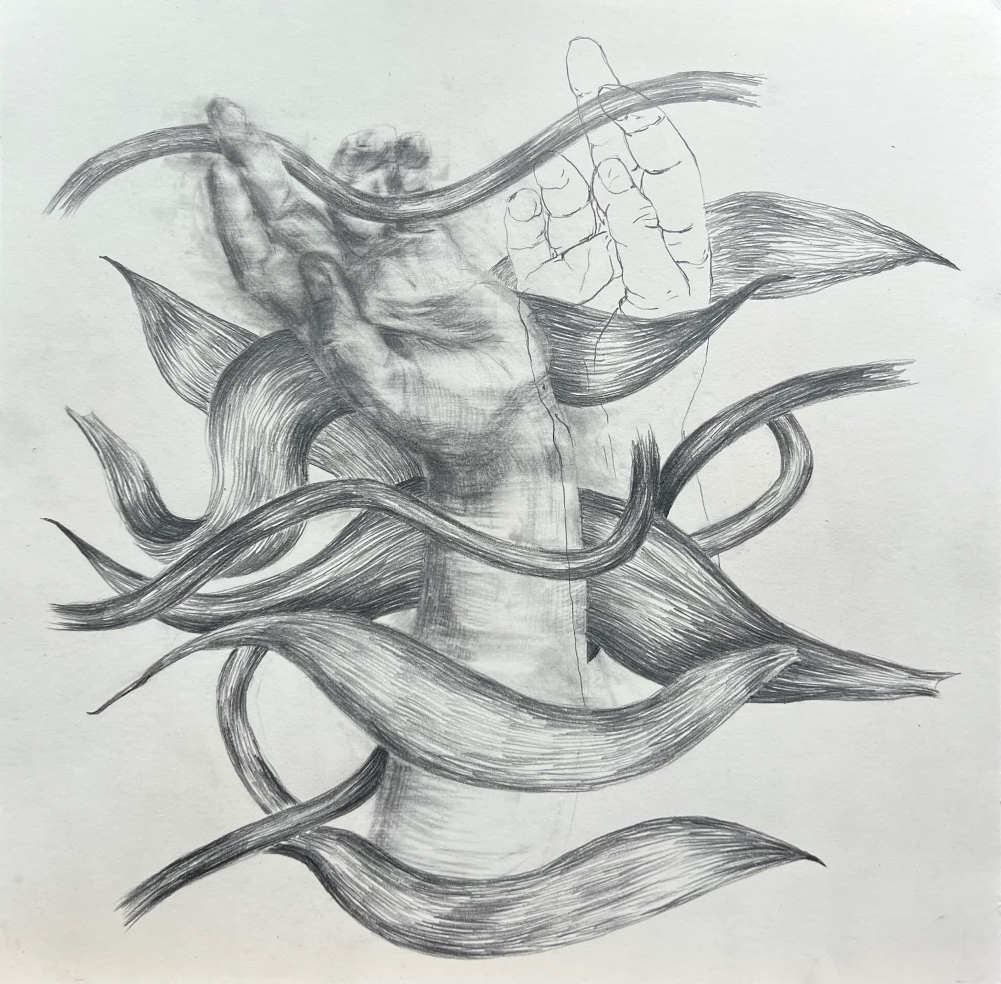 Enmeshed II