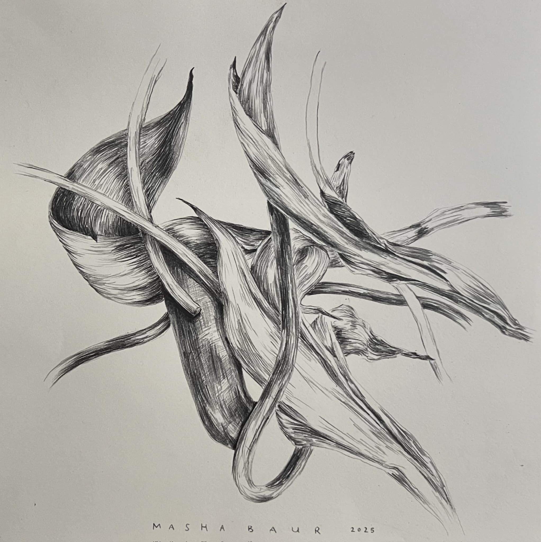 Enmeshed III